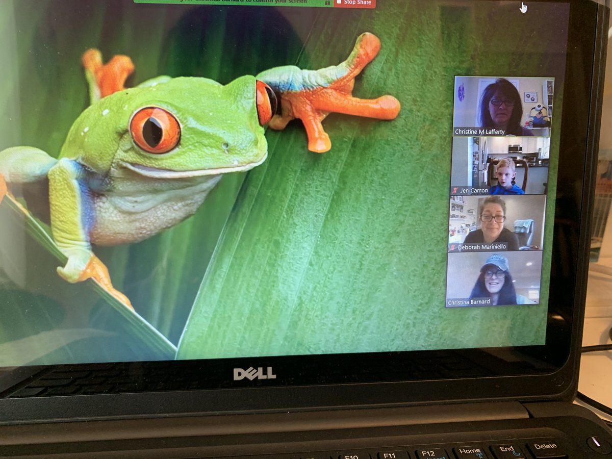 LW_PRIDE's tweet photo. #LW_Pride #ccsd Shout out to the 3rd Grade team &amp; the Virtual Field Trip to the Amazon! Students arrived safely to explore the rainforest!  Thank you to the teachers &amp; staff who worked so hard to create this experience &amp; connect students to their learning &amp; each other! https://t.co/2VfuW6ZOhj