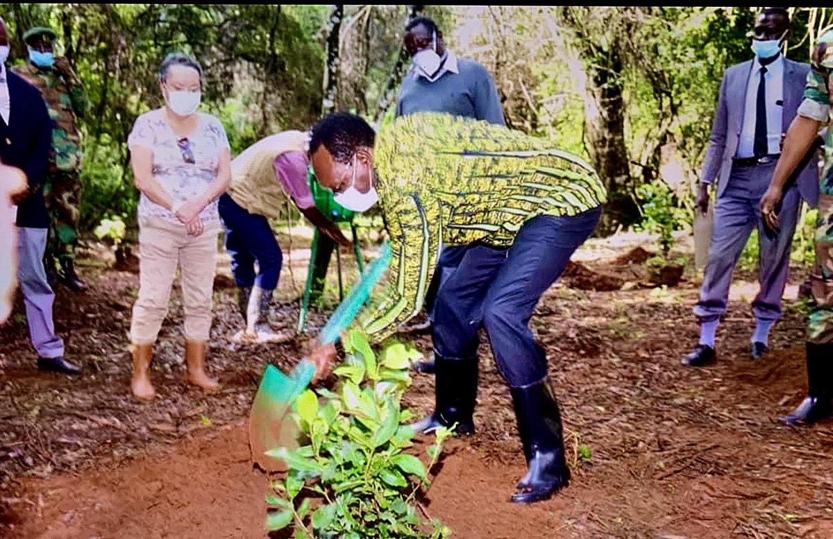 karurafriends's tweet photo. Sunny break in heavy rains at #KaruraForest allowed PS Dr Chris Kiptoo #Environment_KE to lead planting of 200 indigenous seedlings in Sigiria block with #KeForestService CCF Julius Kamau and senior management fm KFS & #FKF #KaruraFriends. #Karura #ThePeoplesForest in #Kenya https://t.co/r0YnpWaD8O