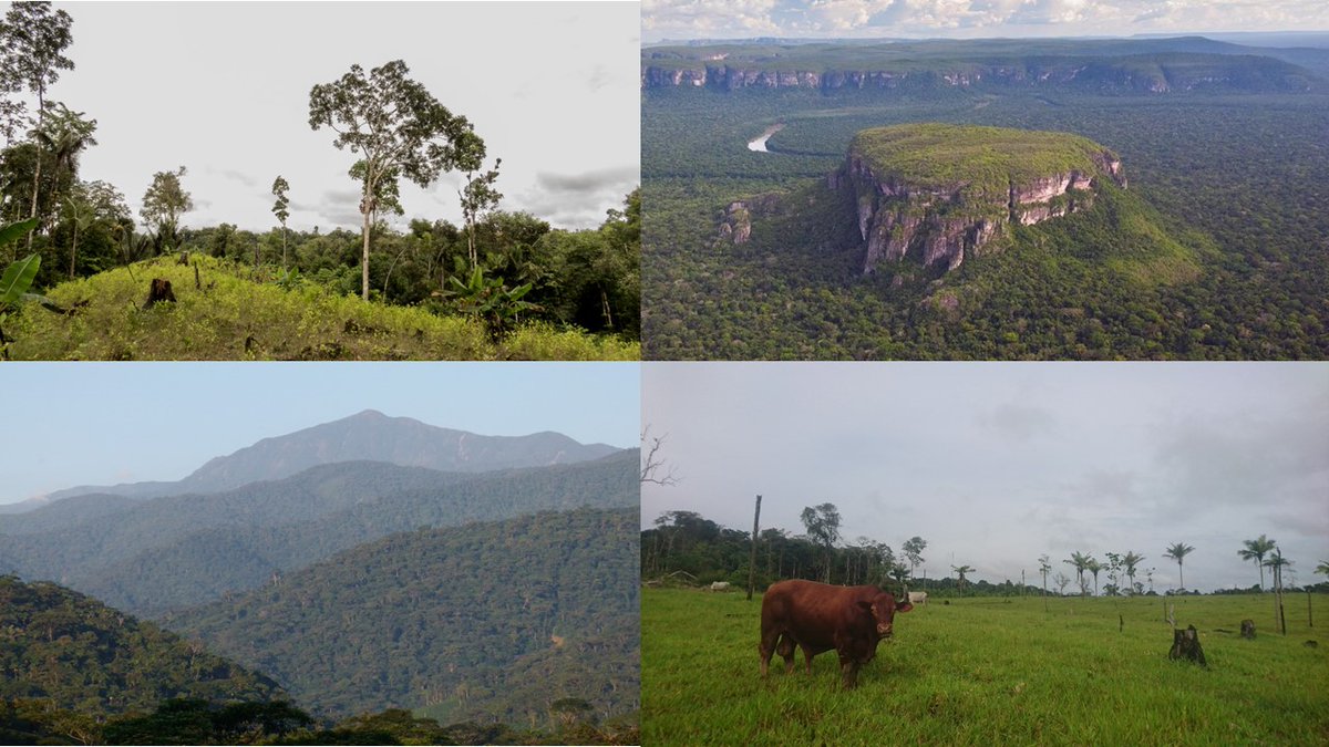 Pablo_Negret's tweet image. In our new article in @ConBiology we assess the effectiveness of PA preventing deforestation in Colombia. Deforestation was 40% lower in PA than in similar areas without protection but differed drastically among regions. management actions are suggested
tinyurl.com/y95o7rrq