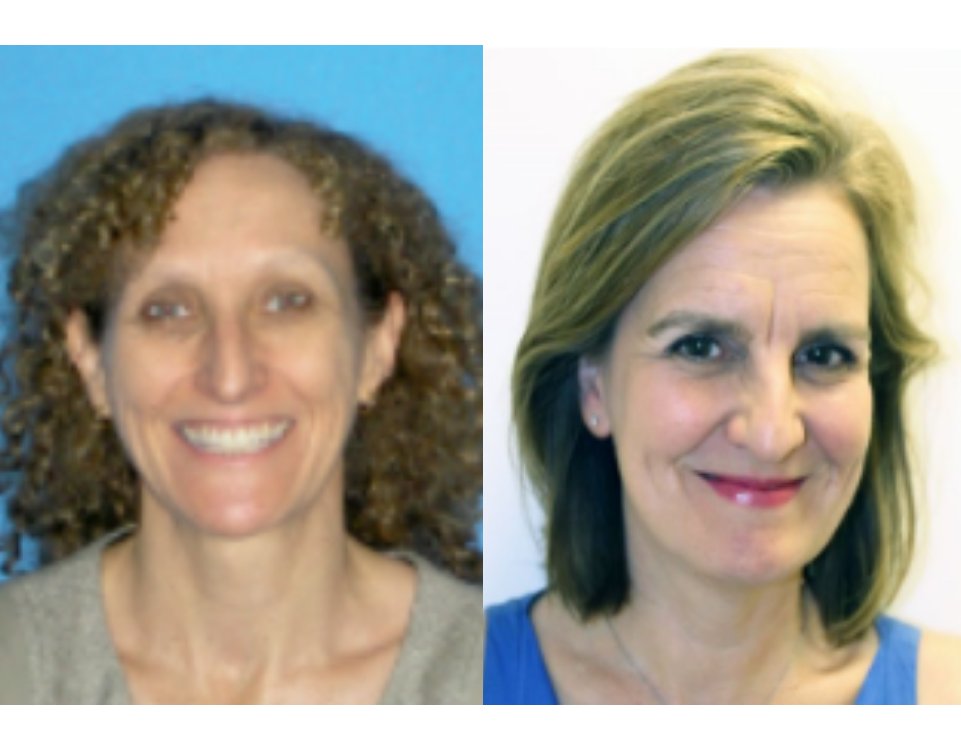 kingshealth's tweet photo. Dr Ingrid Wolfe has been invited to lead our Institute of Women and Children's Health for 6 months ๐ฉโ๐ง
This is while Prof Karen Edmond works with the @WHO_Europe on novel #coronavirus and its impact on #childhealth and inequalities in #globalcommunities.
https://t.co/WxMWZIDbgJ https://t.co/LDcU6dCSzo