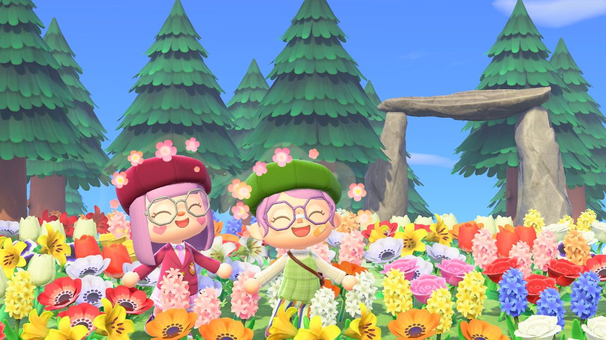 IlienneAlestia's tweet photo. Au abord de la forêt il y a un super champ de fleur, je crois qu'il a plu à @dodo_iris aussi l!  #AnimalCrossing #ACNH #NintendoSwitch https://t.co/1tRVWvlhBP