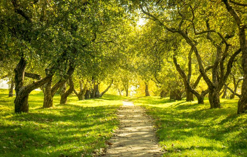 KBGdelaware's tweet photo. Today's weather is going to be great! Get outside, exercise (while practicing safe social distancing) and let your lungs get some fresh air. Your lungs are the most healthy when you stay tobacco and nicotine-free.πππππππππ
#KBGde #KeepItKlean #TobaccoFree #NicotineFree https://t.co/9UvInhyoLe