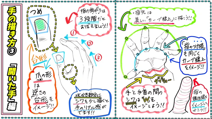 【ツメや指先の描き方】

「立体感と指の開き」が上達するコツ 