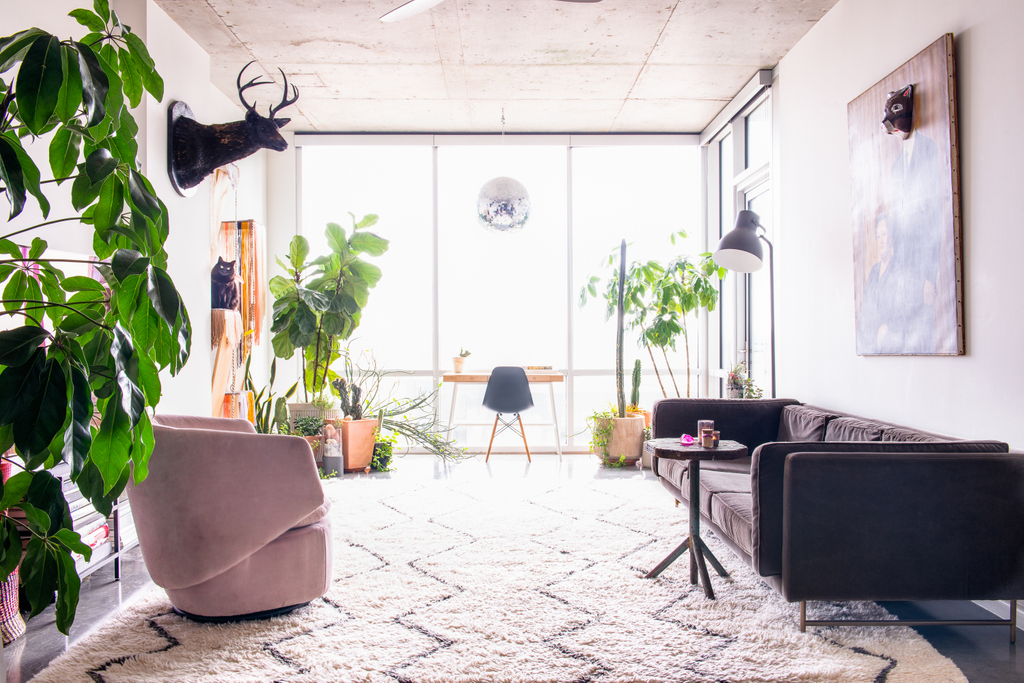 Downtown Lightbox - I love shooting in high-rises, especially with floor to ceiling glass. Don't miss the cat on his custom cat tower. Design by Amy Hovis. 

#aiaaustin #austindesign #atxdesign #austinstyle #modernaustin #austingarden #austinphotographer #architecturalphotography