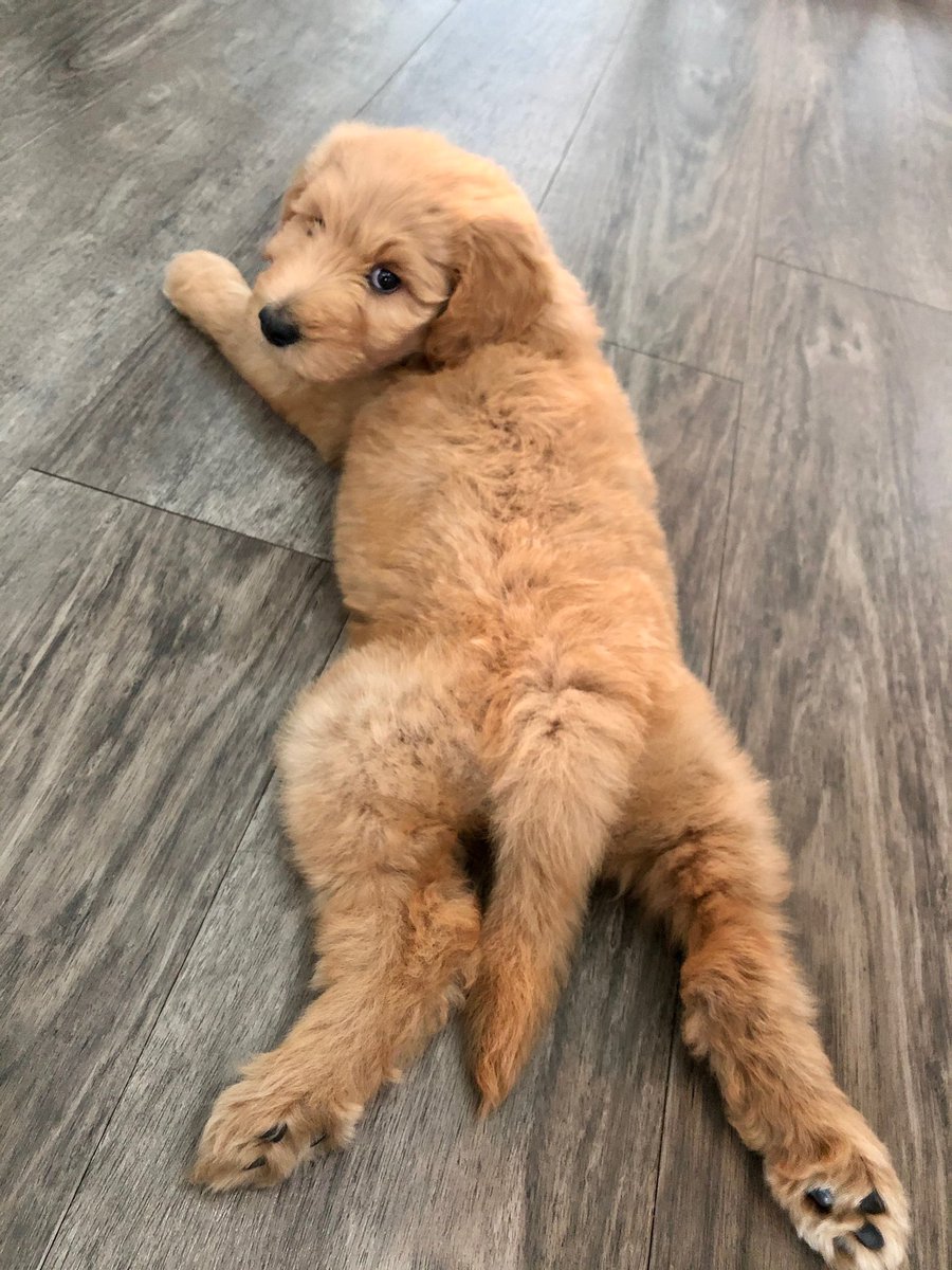 AC. ⚓️ tweet media