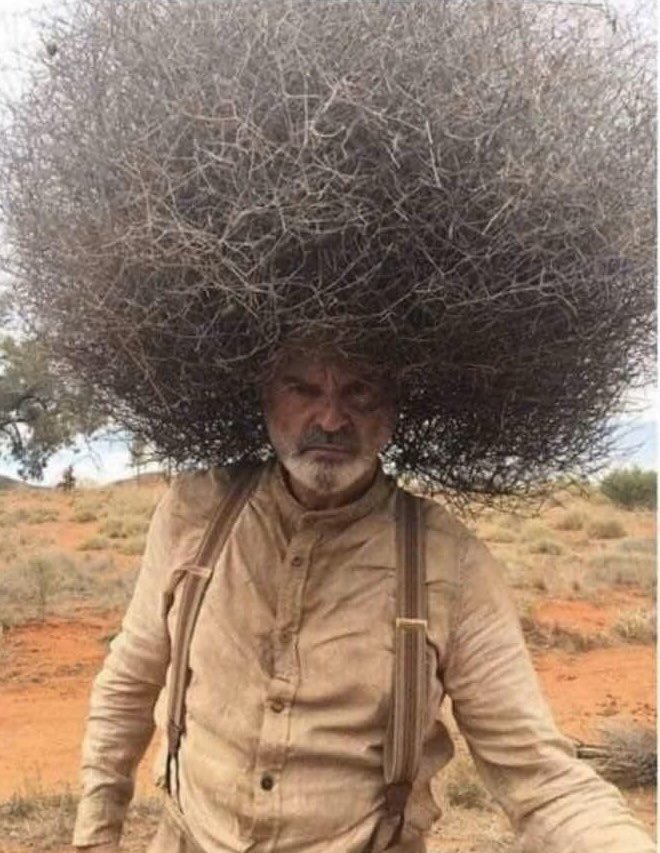 Nick Wakley tweet media