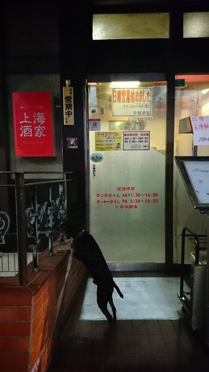 M子 6 6km散歩 今日は寝太郎が調子が良く歩いてくれたから速く歩けた 自動ドア普通に入ってく 笑 散歩ｺｰｽいつも悩むから 飲食店まわろうかな ラーメン屋巡り