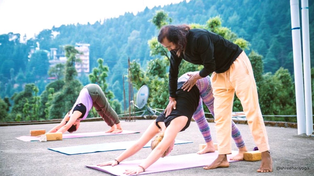 shreehariyoga's tweet photo. “Yoga is not just a repetition of a few postures – it is more about the exploration and discovery of the subtle energies of life.”
#yoga #yogainspiration #yogawithshreehari #yogavacation2020 #yogateacher #yogaeveryday
#yogaposes #yogalife #yogagirl #yogalove #yogaeverywhere https://t.co/4I654oBdoR