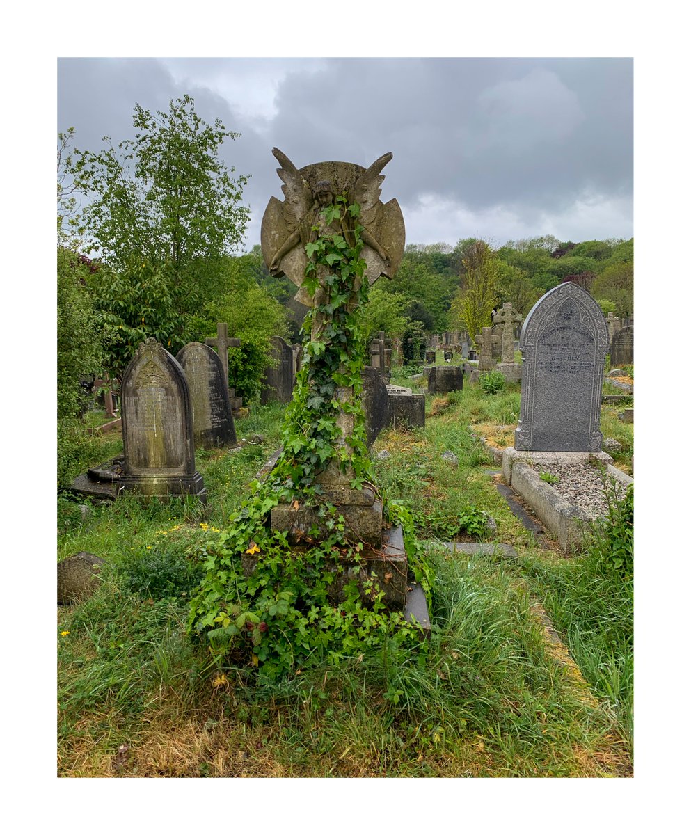 Back in my favourite place #Plymouth #Devon #FordPark #cemetery #peace #DailyExercise