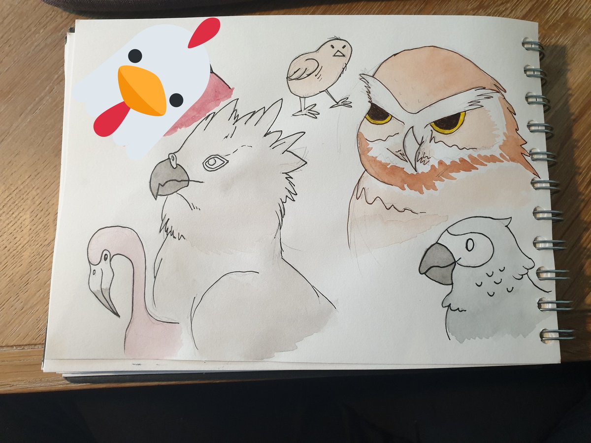Some more birds! Covering up some art signs with a sticker lol