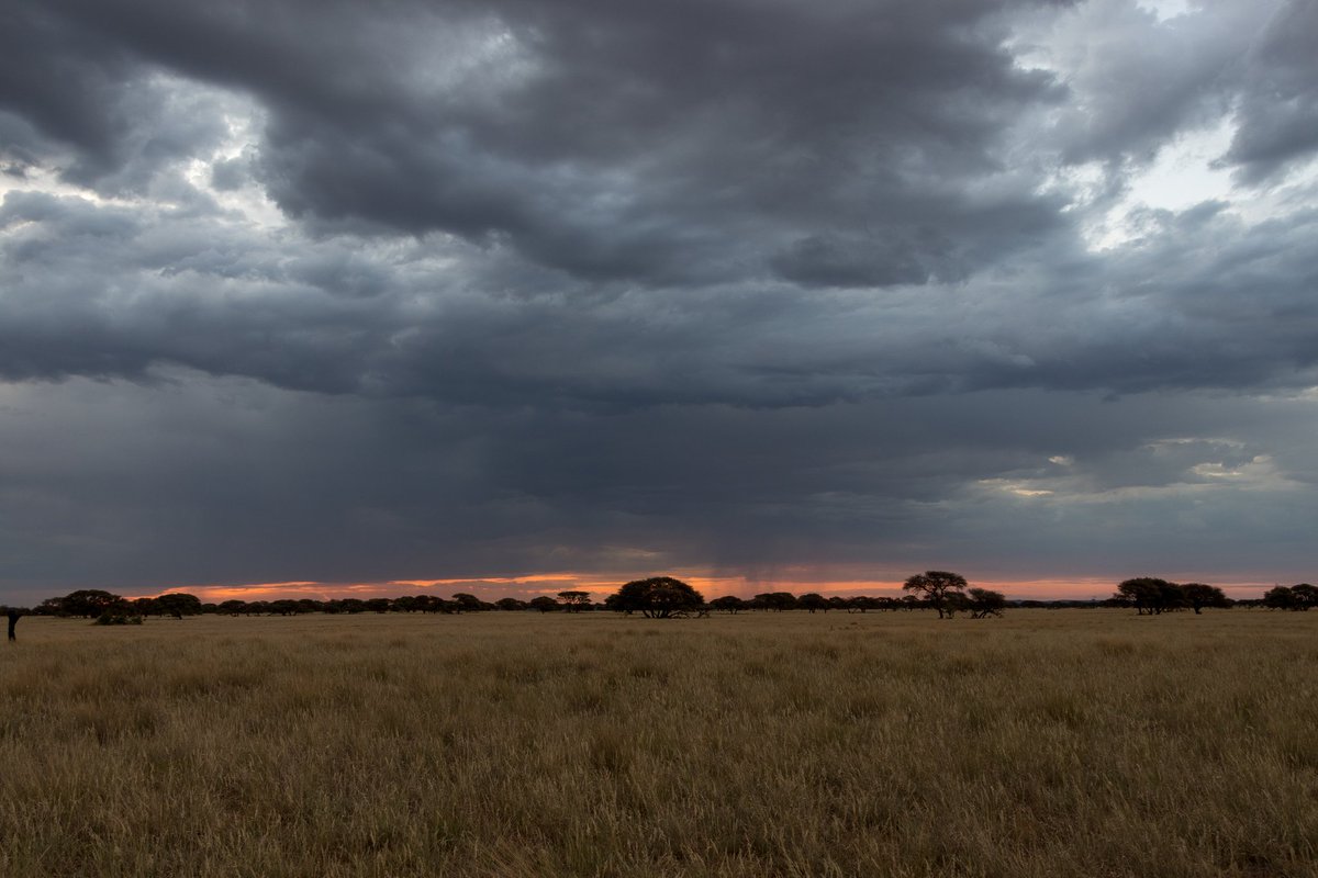 #PhotosOfMyLife challenge

Every day a photo. One Week. No people, no explanations. Every day one invitation to contribute. We were kindly invited by: 
<a href="/iLEAPS_ECSN/">iLEAPS Early Career Scientists</a>

Today's invitation goes to:
<a href="/EMSAfrica/">EMSAfrica project</a>