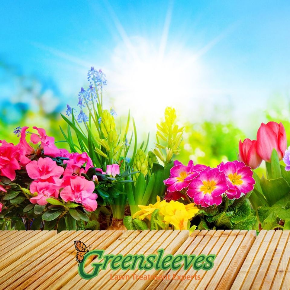 GSLawnCareUK's tweet photo. 🍀 COMPETITION TIME 🍀

We want to add some positivity and colour to your newsfeeds so to be in with a chance of winning a £20 Amazon voucher, comment below a photo of your favourite garden plants or perhaps a before and after garden transformation photo... https://t.co/nOie3XjBV4