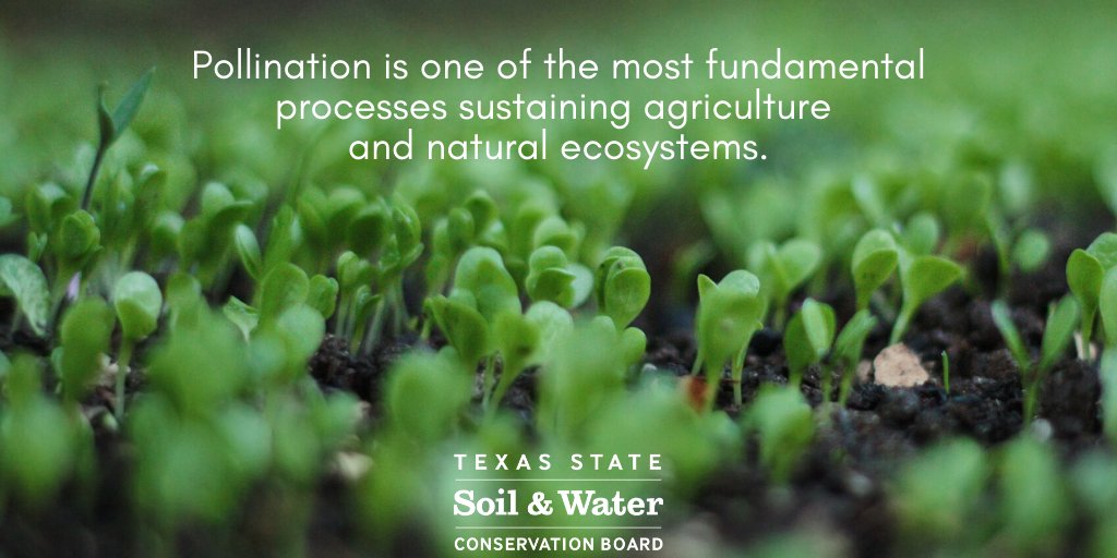 Texas A&M Natural Resources Institute tweet media