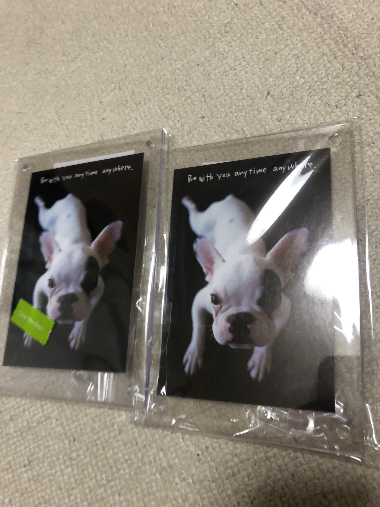 こころ 寺門 セリア 100円ショップ のスクリューダウン 的なやつ買った こころ 寺門 セリア 100円ショップ のスクリューダウン 的なやつ買った