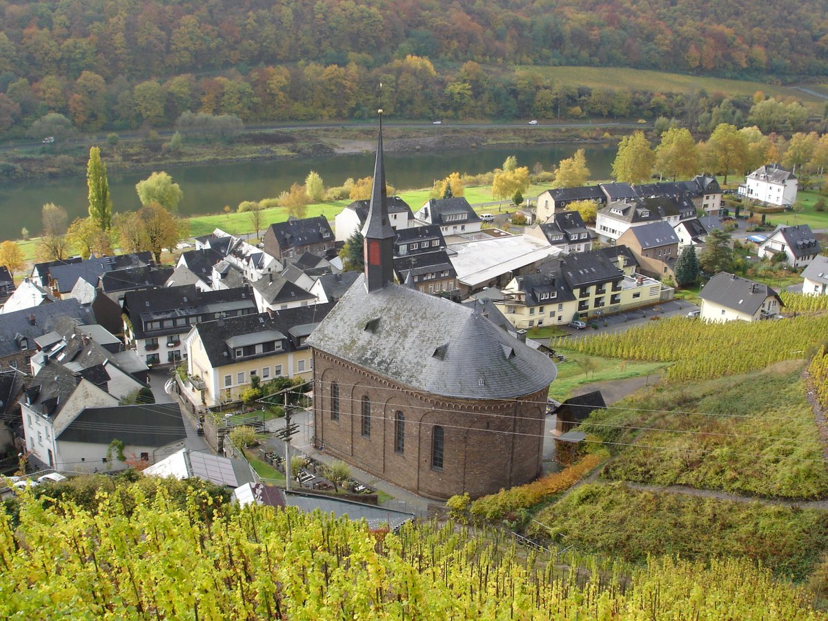 AlexWiese_Mosel's tweet photo. Valwig und Umgebung - Oktober 2007 #Mosel #Moselland #Natur #RheinlandPfalz #Wein #Valwig #visitmosel https://t.co/FsImPLj5su