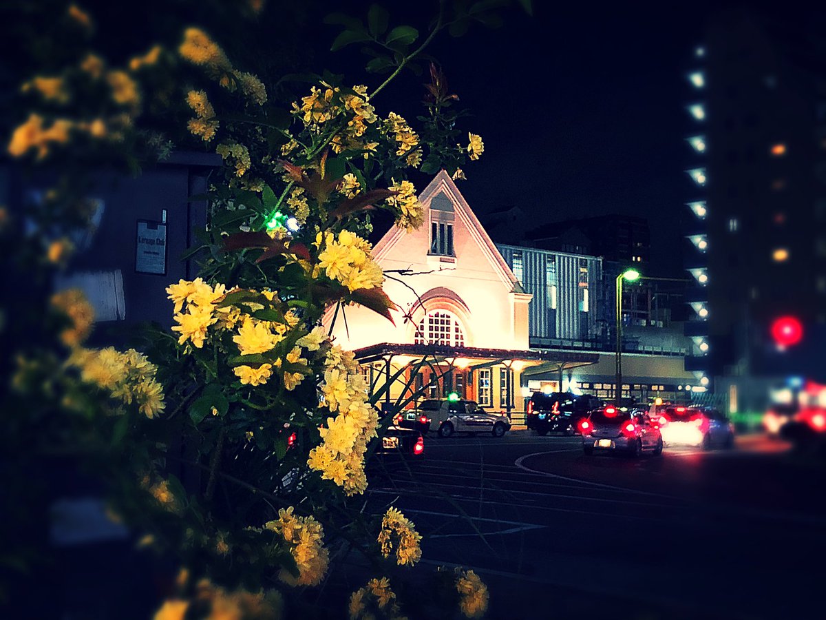 猫好き やんちゃオヤジ 夜風の風景 写真好きな人と繫がりたい 国立駅 国立駅の駅舎 国立の夜景
