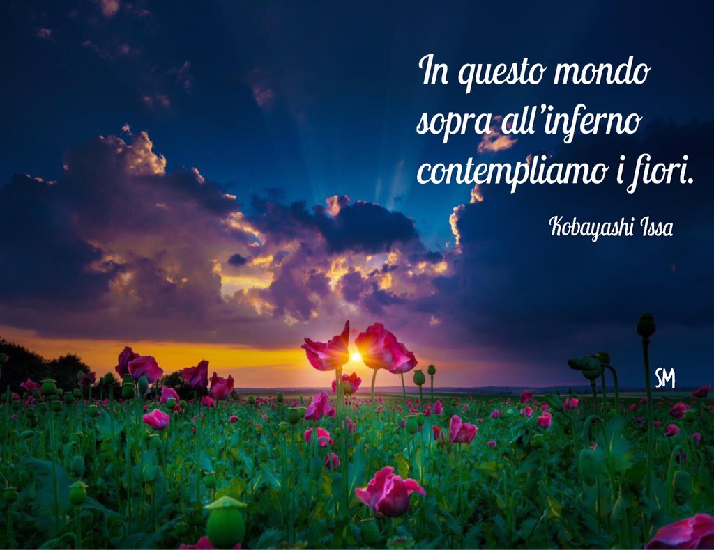 #haiku mediamente positivo.