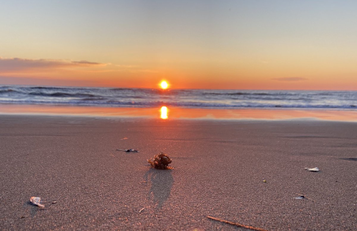 Robin Latchford tweet media