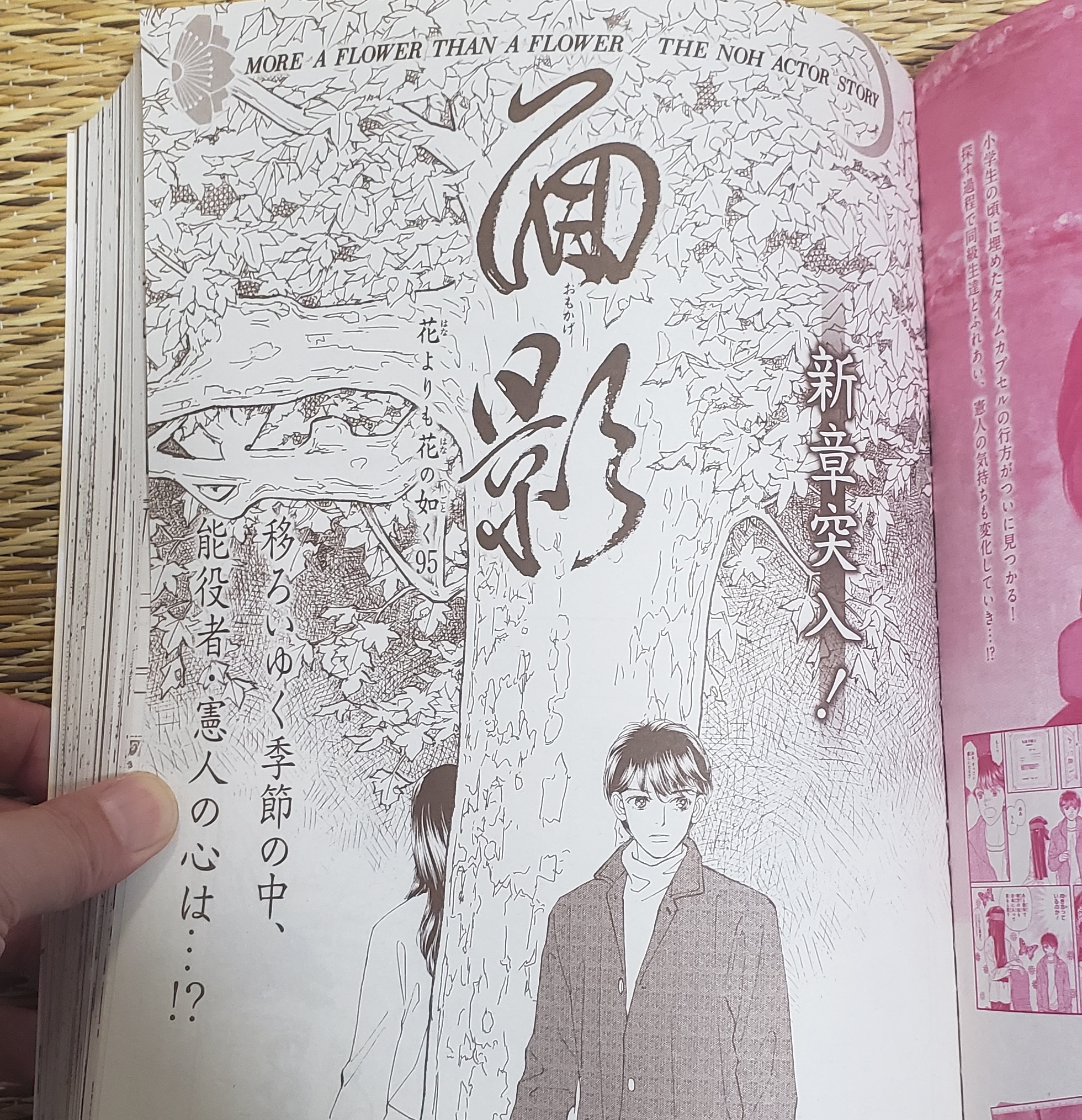 花よりも花の如く Twitter Search Twitter