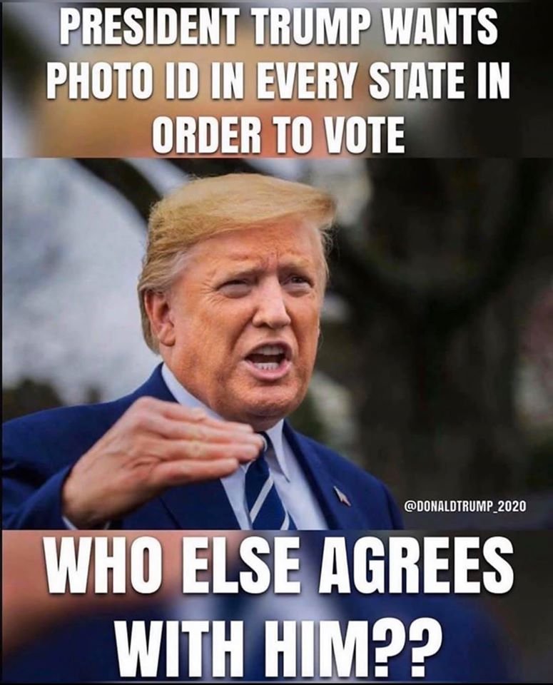 swampadelic's tweet photo. Question: How many have a license of some sort with your picture on it AND do you need to carry it with you when engaging in the function you needed the license for? Well then... https://t.co/QI7vOHSBsb