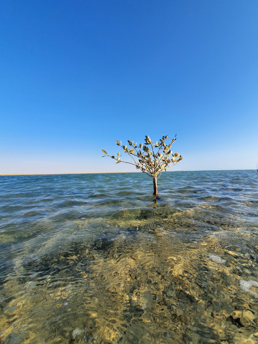 UW_SWIGS's tweet photo. Here are few of the submissions we received for our photo contest under the Water and Climate category. To view more submissions and vote for your favorite, please visit: https://t.co/a8CH05boEK #SWIGS @water_institute @UWaterloo https://t.co/nH83EScpfs