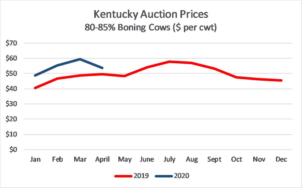KYCattleEcon's tweet photo. I've been very focused on prices week-to-week lately, but, just updated my monthly charts. Jan-April, 80-85% boning cows have been have been $8 per cwt higher this year than last. Source: @USDA_AMS #KYCattleMarkets https://t.co/JFkdEHPOzb