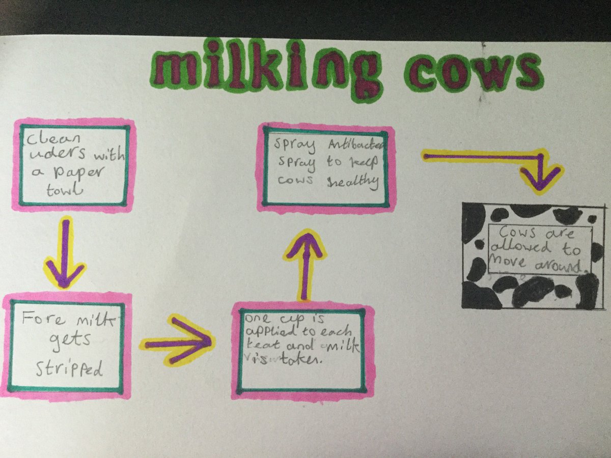 HazleheadHE's tweet image. Lots of work happening today.  S1 are learning about milk production and processing and making dishes containing #milk S2 are learning about #leftovers and being #resourceaware S3 are looking at costing and how to manage food costs #sustainable #lockdownlearning #aberdeenlearns