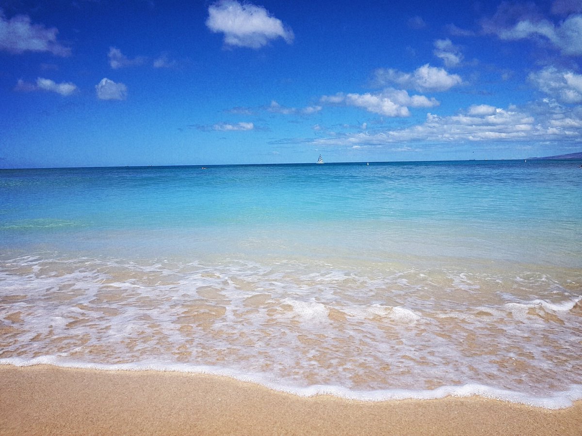 GiuliaTurchetto's tweet photo. "Non si può essere infelice quando si ha questo: l’odore del mare, la sabbia sotto le dita, l’aria, il vento."(Irène Némirovsky)
#IoRestoAcasa #IoRestoAcasaMaViaggioConLaMente #ViaggiaInsiemeAme #iViaggiAiTempiDelCovid19 #TorneremoAviaggiare #ViaggioDiNozze #Honolulu #Hawaii #USA https://t.co/y6BenzkyB0