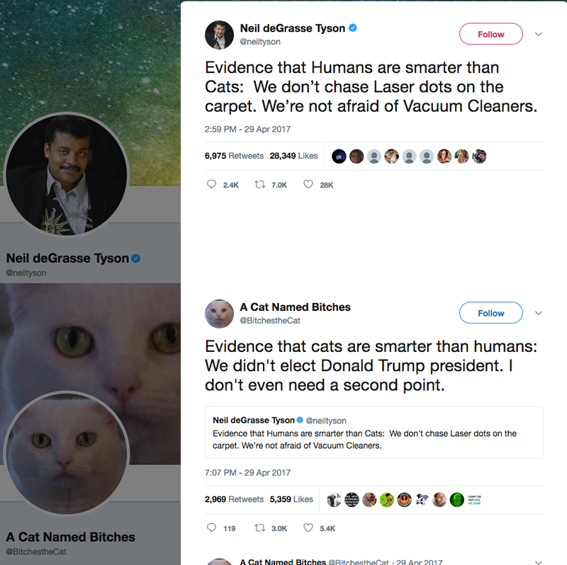 feraluniverse's tweet photo. @ratemyskyperoom @neiltyson Zero respect for him since @BitchestheCat straight up used science to make him rethink his life. #RIPBitches https://t.co/4HEsvXrwEB