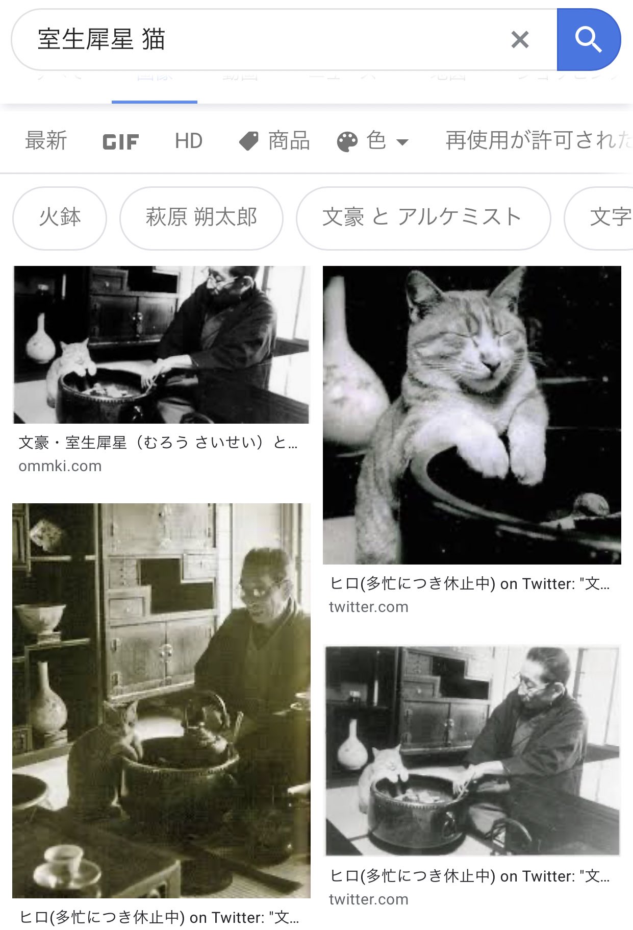 七枝七夏 室生犀星と火鉢にあたる猫ちゃんの写真は最高だよね 七枝七夏 室生犀星と火鉢にあたる猫ちゃんの写真は最高だよね