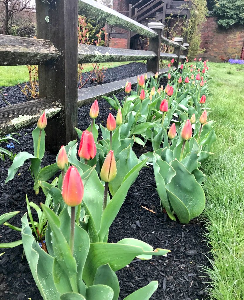 The beauty of Spring! #WhyILandscape #horticulture #gardening