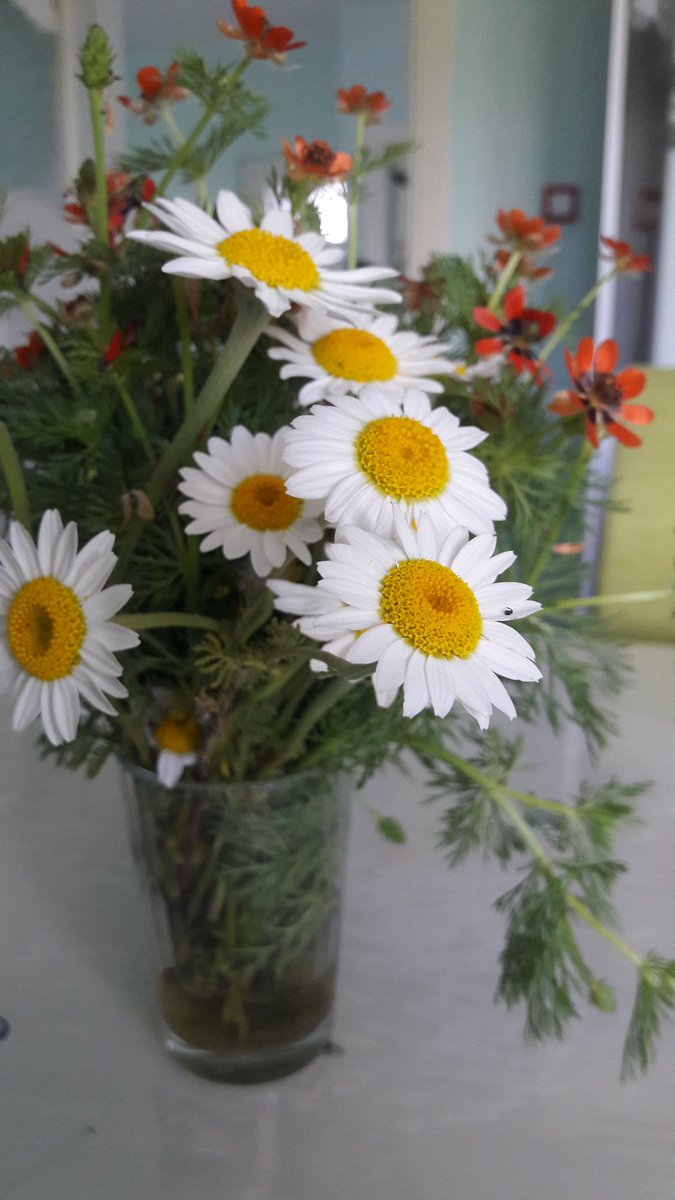 Kirk yil yagmur yagsa işlemez mermere.sen sen ol guvenme ibne ile berbere...