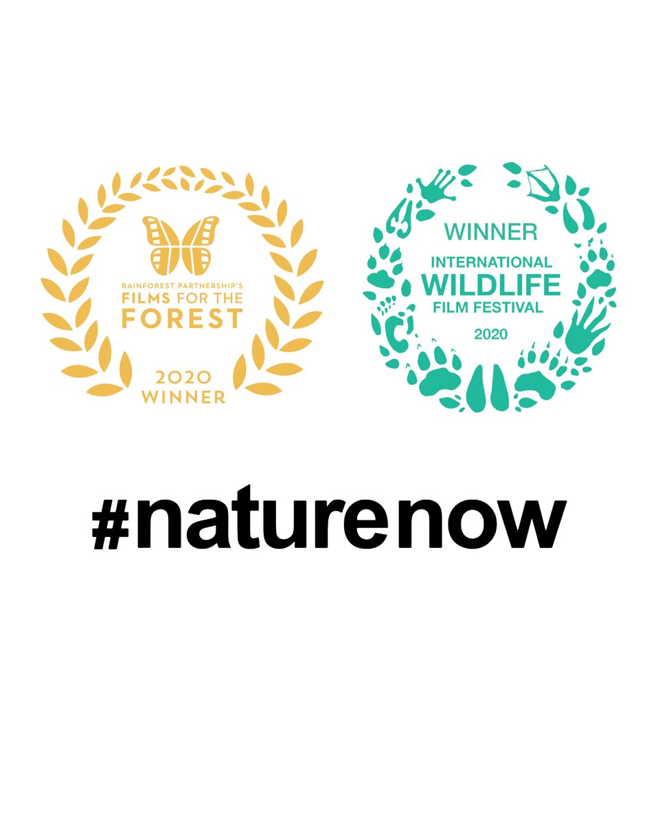 mcasso's tweet photo. Congratulations to @tommustill @trianglemonday #NatureNow winners Best Micro Short Films of the Forest &amp; Special Jury Award at @IWFF for "it's environmental ethics and low carbon footprint". Sound &amp; mix by @mcasso’s Tom Martin, we're incredibly proud to be part of this. #mcasso https://t.co/NwAXyuU2LO