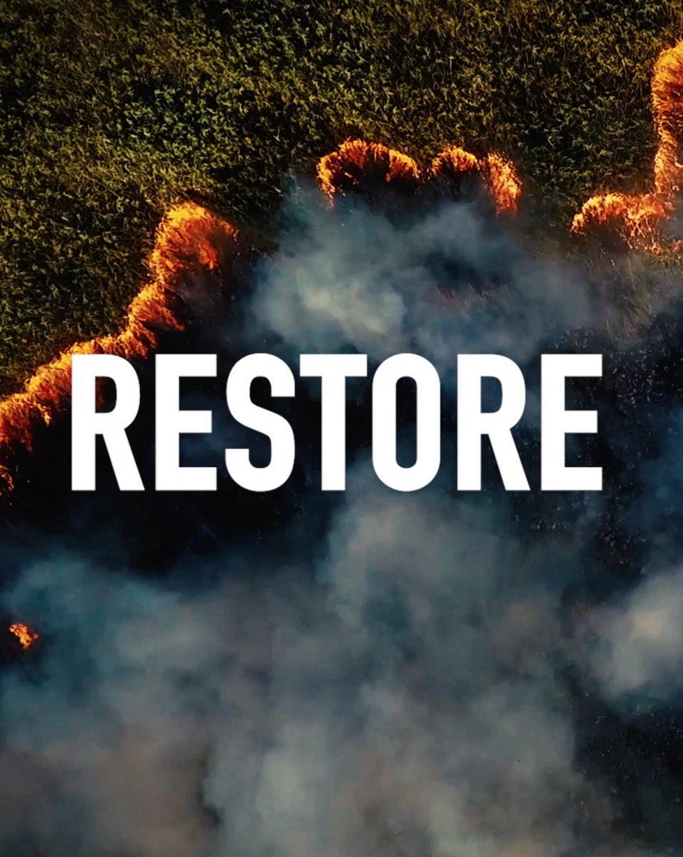 mcasso's tweet photo. Congratulations to @tommustill @trianglemonday #NatureNow winners Best Micro Short Films of the Forest &amp; Special Jury Award at @IWFF for "it's environmental ethics and low carbon footprint". Sound &amp; mix by @mcasso’s Tom Martin, we're incredibly proud to be part of this. #mcasso https://t.co/NwAXyuU2LO