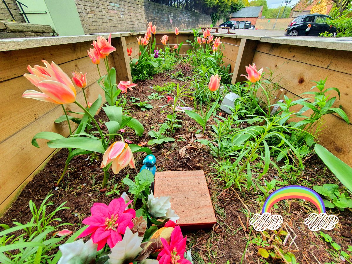 NHC_Merchants's tweet photo. Flowers blooming and some colourful new additions to our memory garden. Fresh seeds planted in time for #nationalgardeningweek2020. 
#wearenhc #mentalhealth #OccupationalTherapy https://t.co/SCTlUyfZLl