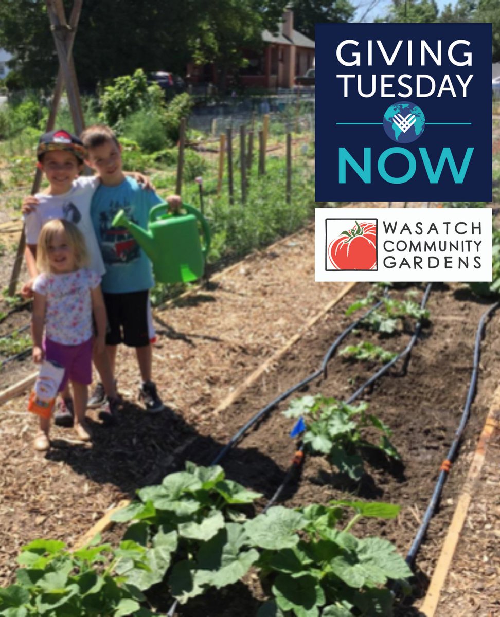 Next Tuesday is #GivingTuesdayNow! This day is all about supporting grass-roots non-profits. Our mission is to empower people to grow and eat healthy, organic, local food. Please help us to continue this work by making a gift today. 

wasatchgardens.org/ways-to-give/d…