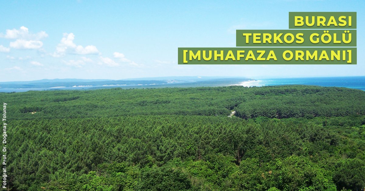 Terkos Gölü Muhafaza Ormanı’nın hikayesi bu akışta. 
👇

Karadeniz’den esen sert rüzgarlar taşıdığı kumla Terkos Gölü’nü doldurmaya başlayınca 1950’li yıllarda, bu rüzgarı kesmek için bölge ormanlaştırılır. 1961 yılında burası “muhafaza ormanı” statüsüne kavuşur.