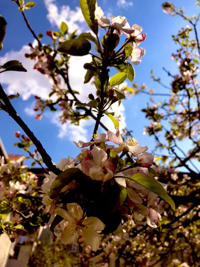 Şu göğüs kafesimi genişleten umudum var oldukça,
Güzel günlere olan inancım hiç bitmeyecek… 🦋🤲🏻
-Can Yücel-