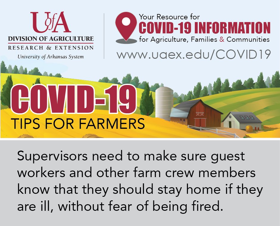 Supervisors: spread the word, and lead by example. Make sure your guest workers &amp; farm crews know that to fight the spread of #COVID19, they should stay home if they feel ill, without fear of being fired. <a href="/AgInArk/">UA System Div of Ag</a> #StillOnTheJob #Arkansas #agriculture