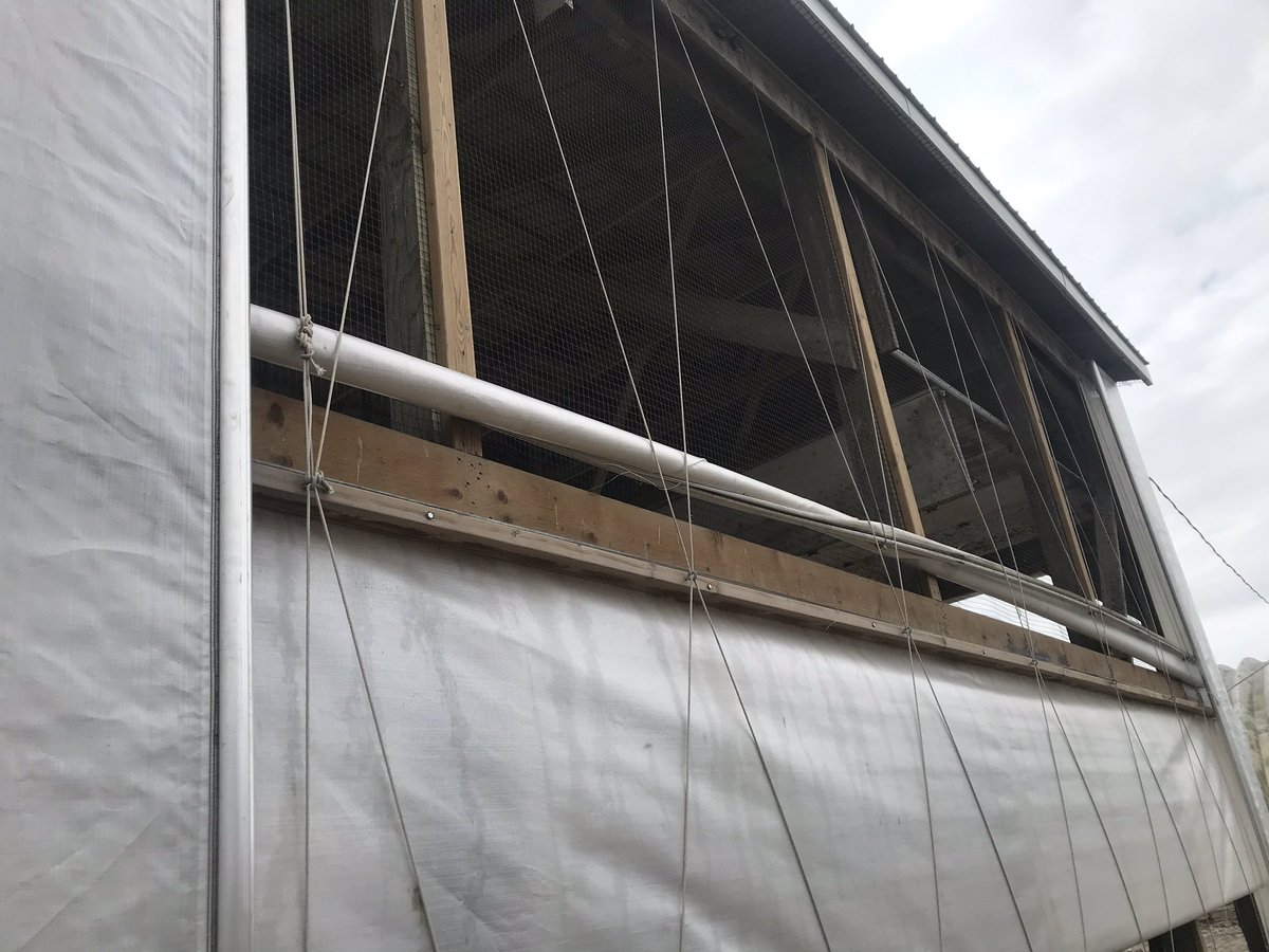 BlakeBerkelmans's tweet photo. Looking for some similar experiences to help keep me calm, have had curtains for 2 years, they just seem to be falling apart, they haven’t worked properly since new @SunNorthSystems has beenout several times but haven’t seem to been able to get it right, who else has had trouble? https://t.co/FYzP2Ln6Kj