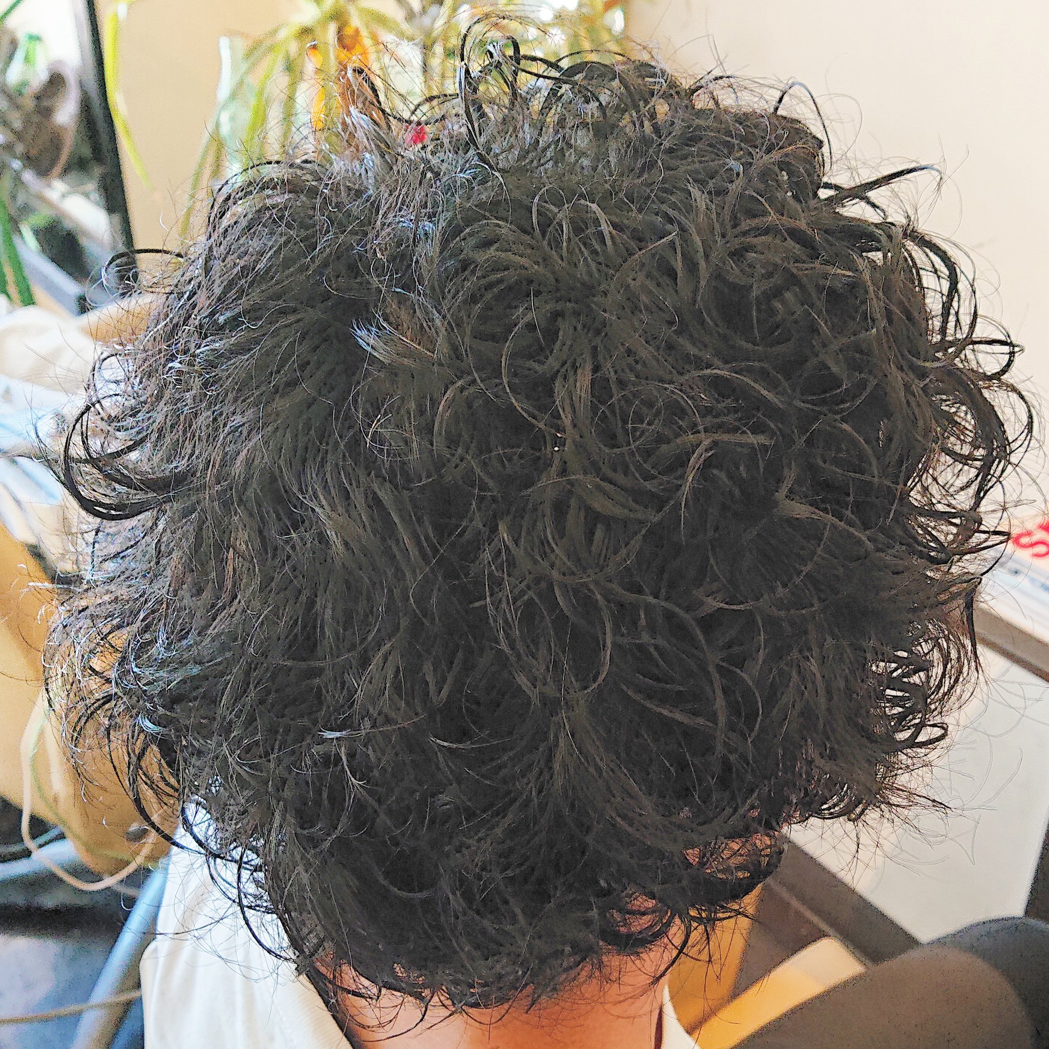 高円寺美容室mellowsメローズ 高円寺美容室mellowsメンズのランダムなソフトカーリーヘア初回10 Off ご来店の方はマスクの着用や手指の消毒をお願いしております 又 現在体調不良の方はご来店は遠慮下さい 高円寺 美容室 美容院探し メンズ