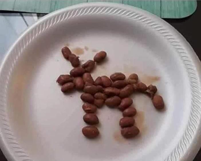 The_Pipirisnais's tweet photo. -Mi amor ¡tengo hambre!
-No te preocupes ¿te hago un burrito de frijoles?
-¡Si!
-Ten...
-😒😠😒😠 https://t.co/htEo7HOXjI