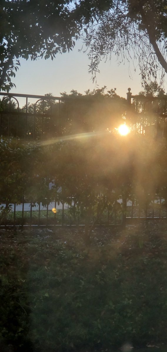 writing4fun_ds's tweet photo. Love to be up with a beautiful sunrise! #sunrise #beautiful #morning https://t.co/QJzNelLeiy