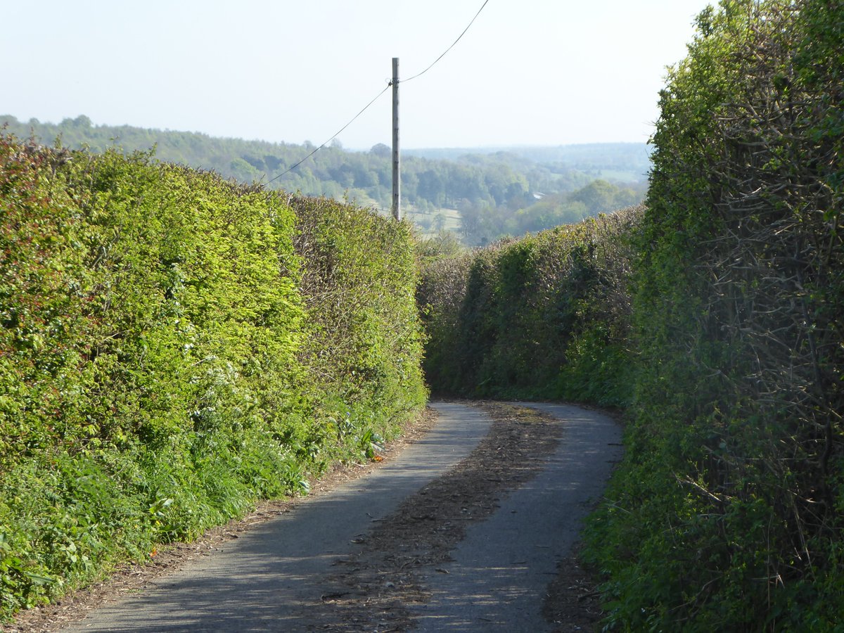 Hello, I'm your hedge fun manager.