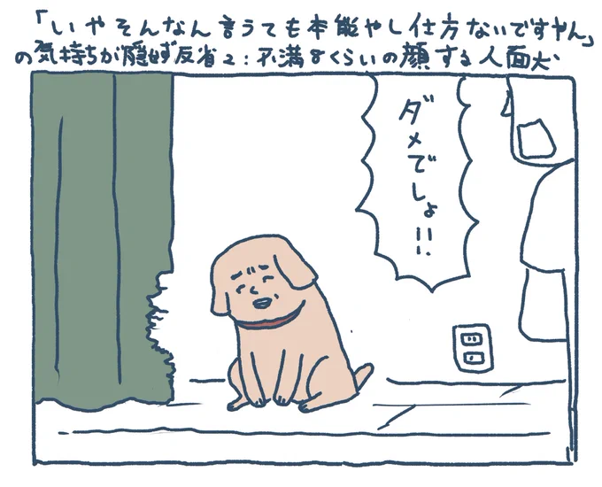 「いやそんなん言うても本能やし仕方ないですやん」の気持ちが隠せず反省2:不満8くらいの顔をする人面犬 