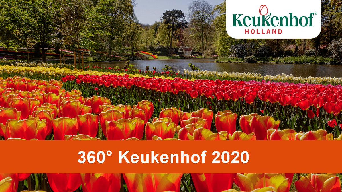 Bekijk nu een nieuwe 360° video door Keukenhof en geniet virtueel van het park. Klik op de link om de video te bekijken: youtube.com/watch?v=GUeI2i…

Camera:  <a href="/wdejager/">Wiebe de Jager</a> en @JorritPit
