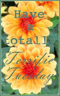 Central Air Conditioning Service (@centralaircond3) on Twitter photo 