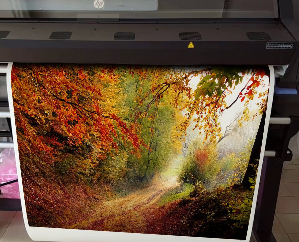 GuySignage's tweet photo. Graphics Printing https://t.co/cp7PYQXxsS
#GraphicsPrintingNYC #VinylGraphicsPrintingServicesNYC #SignPrintingNYC #VinylPrintingCompanyNYC https://t.co/LTkcBSs1F2