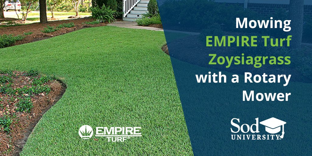 SodSolutions's tweet photo. Here at Sod Solutions, we are often asked if you need to purchase a reel mower to cut EMPIRE Turf® Zoysia. The answer is NO! If you are considering installing #EMPIRETurf sod, you can still mow it with a regular rotary mower.
https://t.co/6xO4iiwgoT
#TheProvenZoysiaGrass #SodU https://t.co/81ksUipMmA