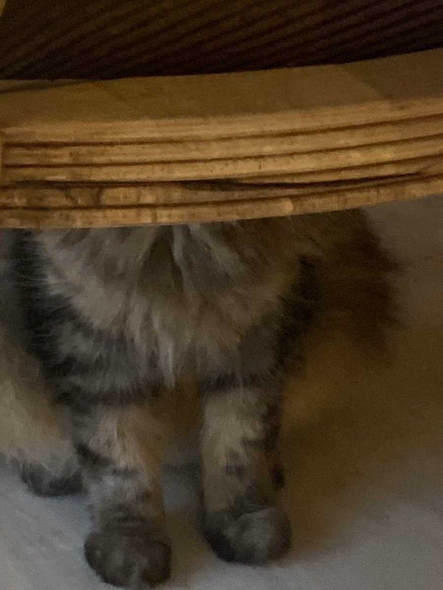 N__Aldrees's tweet image. 